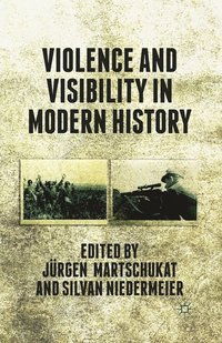 bokomslag Violence and Visibility in Modern History