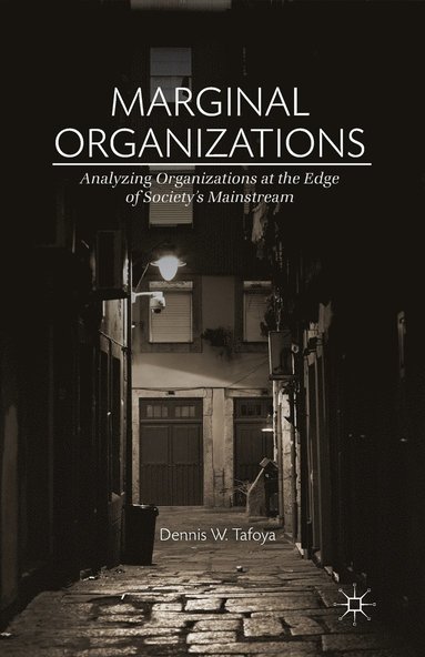 bokomslag Marginal Organizations