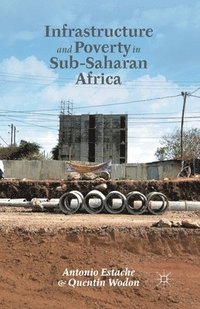 bokomslag Infrastructure and Poverty in Sub-Saharan Africa