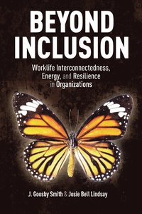 bokomslag Beyond Inclusion