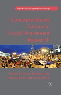 bokomslag Conceptualizing Culture in Social Movement Research