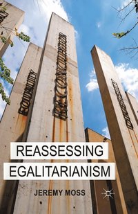 bokomslag Reassessing Egalitarianism