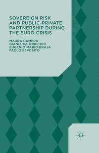 bokomslag Sovereign Risk and Public-Private Partnership During the Euro Crisis