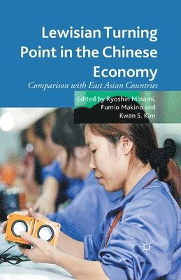 bokomslag Lewisian Turning Point in the Chinese Economy