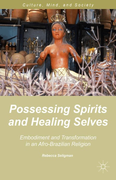 R. Seligman - Possessing Spirits and Healing Selves, Häftad