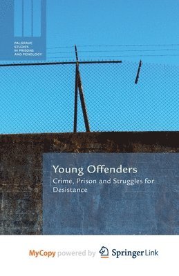 bokomslag Young Offenders