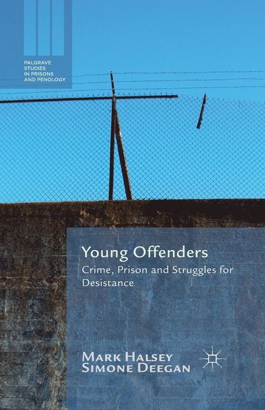 bokomslag Young Offenders