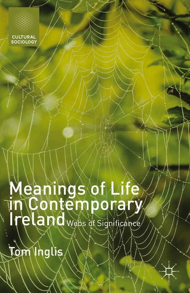 T. Inglis - Meanings of Life in Contemporary Ireland, Häftad