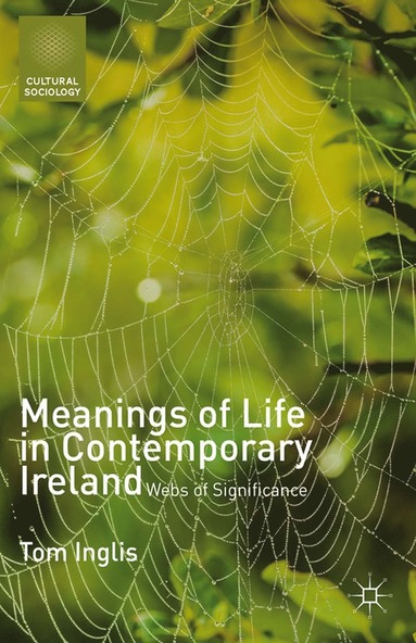 bokomslag Meanings of Life in Contemporary Ireland