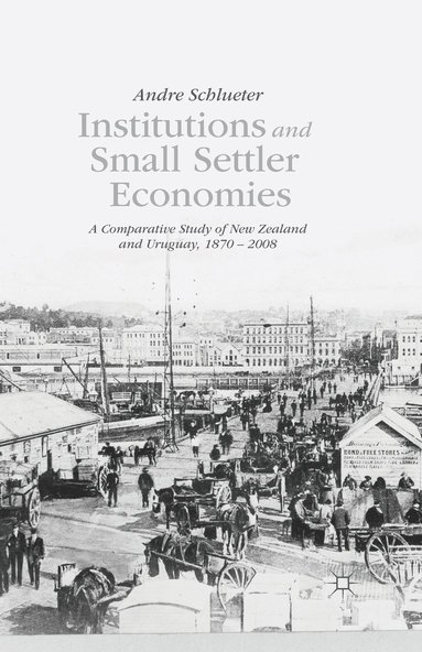 bokomslag Institutions and Small Settler Economies