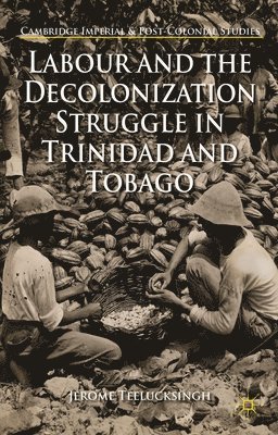 bokomslag Labour and the Decolonization Struggle in Trinidad and Tobago