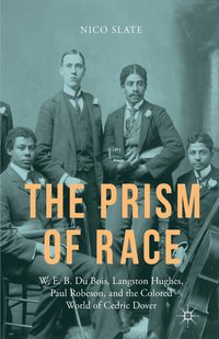 bokomslag The Prism of Race