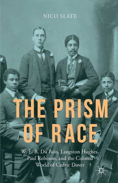 bokomslag The Prism of Race