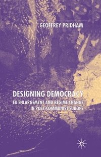 bokomslag Designing Democracy