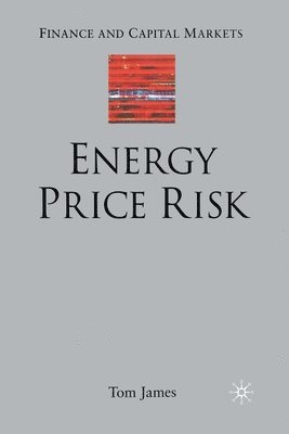 bokomslag Energy Price Risk