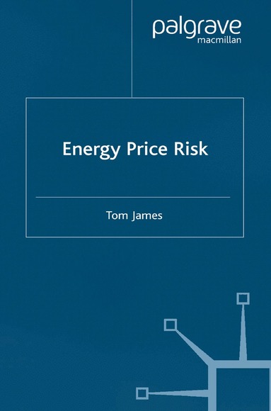 bokomslag Energy Price Risk