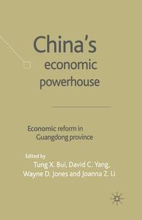 bokomslag China's Economic Powerhouse