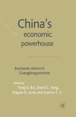 bokomslag China's Economic Powerhouse