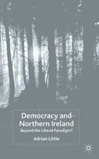 bokomslag Democracy and Northern Ireland