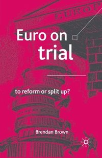 bokomslag Euro on Trial