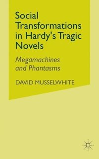 bokomslag Social Transformations in Hardy's Tragic Novels
