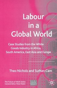 bokomslag Labour in a Global World