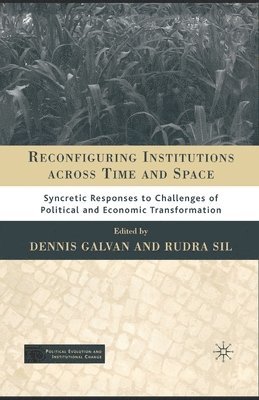 Reconfiguring Institutions Across Time and Space 1