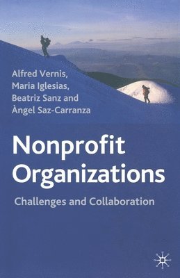 bokomslag Nonprofit Organizations