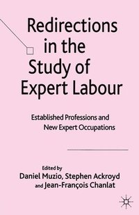 bokomslag Redirections in the Study of Expert Labour