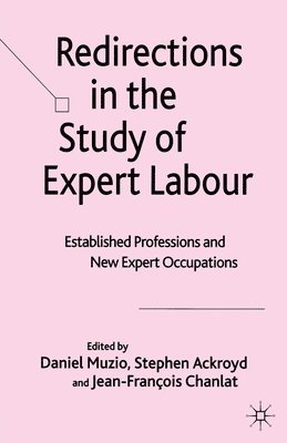 bokomslag Redirections in the Study of Expert Labour