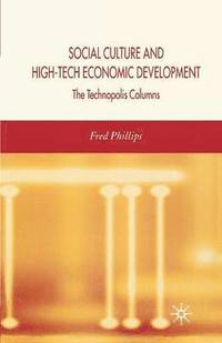 bokomslag Social Culture and High-Tech Economic Development