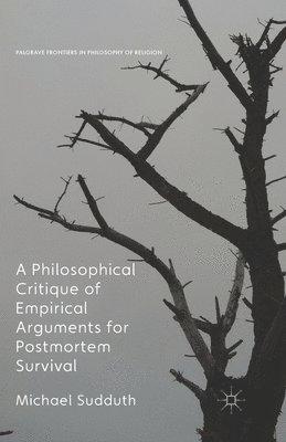 bokomslag A Philosophical Critique of Empirical Arguments for Postmortem Survival