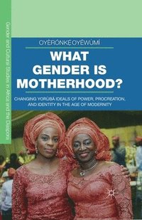 bokomslag What Gender is Motherhood?