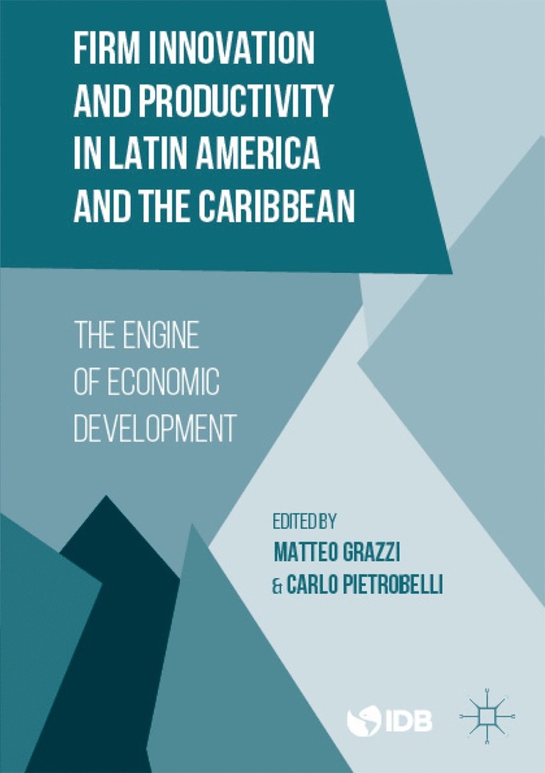 Inter-American Development Bank, Matteo Grazzi, Carlo Pietrobelli - Firm Innovation and Productivity in Latin America and the Caribbean, Häftad