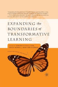 bokomslag Expanding the Boundaries of Transformative Learning
