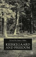 bokomslag Kierkegaard and Freedom