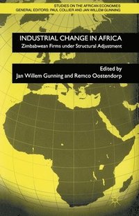 bokomslag Industrial Change in Africa