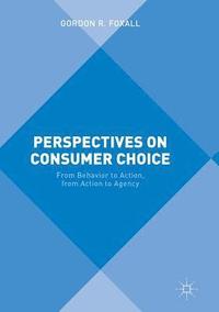 bokomslag Perspectives on Consumer Choice