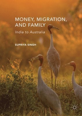 bokomslag Money, Migration, and Family