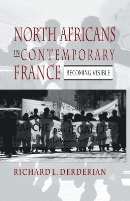 bokomslag North Africans in Contemporary France