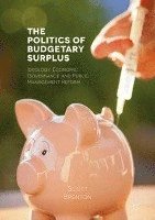 bokomslag The Politics of Budgetary Surplus