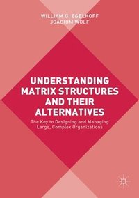 bokomslag Understanding Matrix Structures and their Alternatives