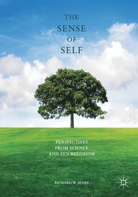 bokomslag The Sense of Self