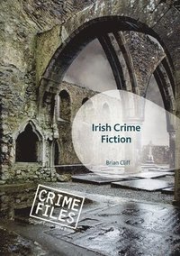 bokomslag Irish Crime Fiction