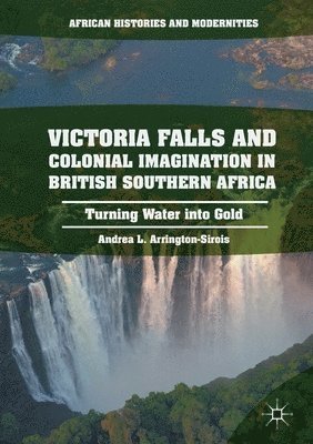 bokomslag Victoria Falls and Colonial Imagination in British Southern Africa