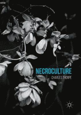 bokomslag Necroculture
