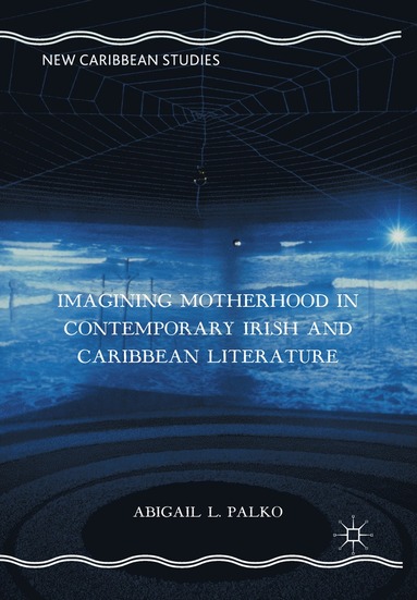 bokomslag Imagining Motherhood in Contemporary Irish and Caribbean Literature