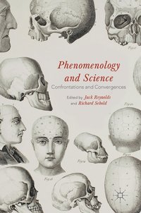 bokomslag Phenomenology and Science