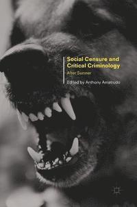 bokomslag Social Censure and Critical Criminology