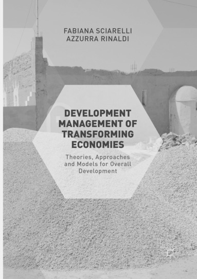 bokomslag Development Management of Transforming Economies